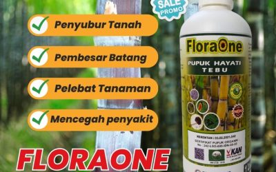 CUMA BULAN INI CALL 0812-2882-4834, GROSIR Pupuk Cair Tebu Kabupaten Blitar