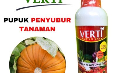 CUMA BULAN INI CALL 0812-2882-4834, GROSIR Pupuk Kalium Cair Terbaik Aceh Besar