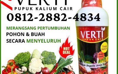 ALAMI CALL 0812-2882-4834, HARGA Pupuk Kalium Terbaik Aceh Jaya