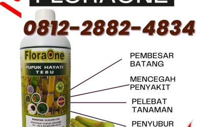 ALAMI CALL 0812-2882-4834, HARGA Pupuk Tanaman Tebu Kabupaten Bojonegoro