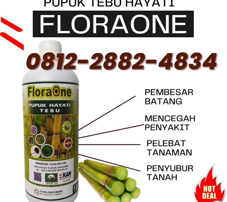 ALAMI CALL 0812-2882-4834, HARGA Pupuk Tanaman Tebu Kabupaten Bojonegoro