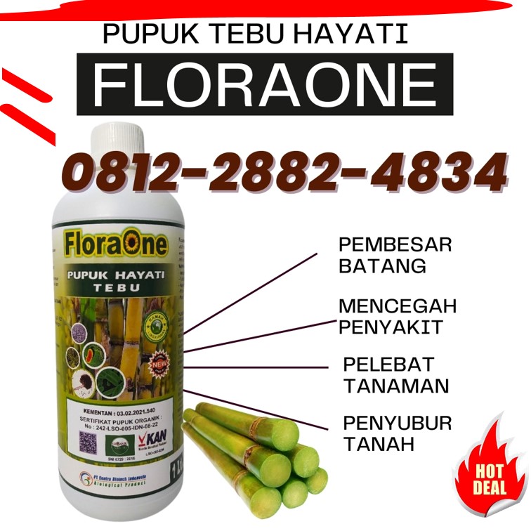 HARGA Pupuk Tanaman Tebu Kabupaten Bojonegoro