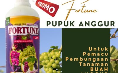 OH JADI INI CALL 0812-2882-4834, JUAL Pupuk Buah Anggur Kabupaten Bolaang Mongondow Selatan