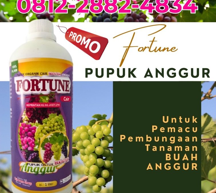 OH JADI INI CALL 0812-2882-4834, JUAL Pupuk Buah Anggur Kabupaten Bolaang Mongondow Selatan
