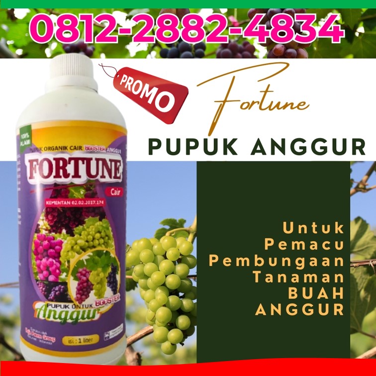 JUAL Pupuk Buah Anggur Kabupaten Bolaang Mongondow Selatan