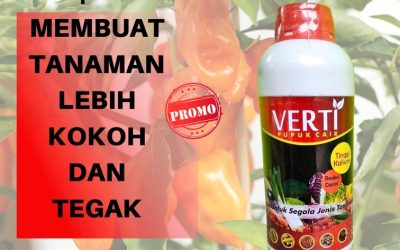 OH JADI INI CALL 0812-2882-4834, JUAL Pupuk Kalium Cair Aceh Barat Daya