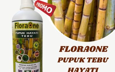 OH JADI INI CALL 0812-2882-4834, JUAL Pupuk Tebu Terbaik Kabupaten Banyuwangi