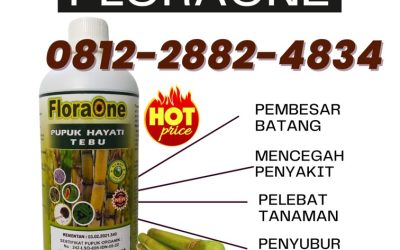 ALAMI! CALL 0812-2882-4834, PUSAT Pupuk Untuk Tebu Kabupaten Lamongan