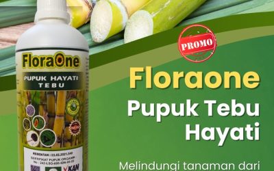 GARA GARA INI CALL 0812-2882-4834, PUSAT Pupuk Tebu Kabupaten Bangkalan