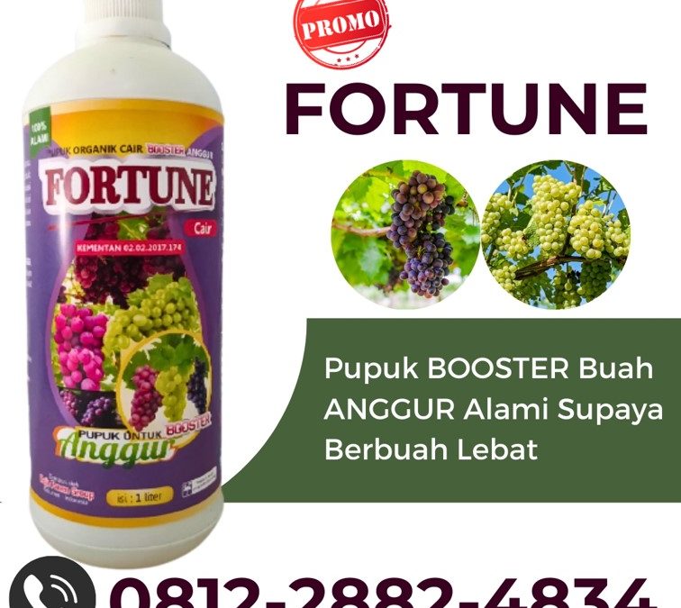 GARA GARA INI CALL 0812-2882-4834, PUSAT Pupuk Anggur Kabupaten Bolaang Mongondow, Pupuk Buah Anggur Kabupaten Bolaang Mongondow Selatan, Pupuk Untuk Anggur Kabupaten Bolaang Mongondow Timur
