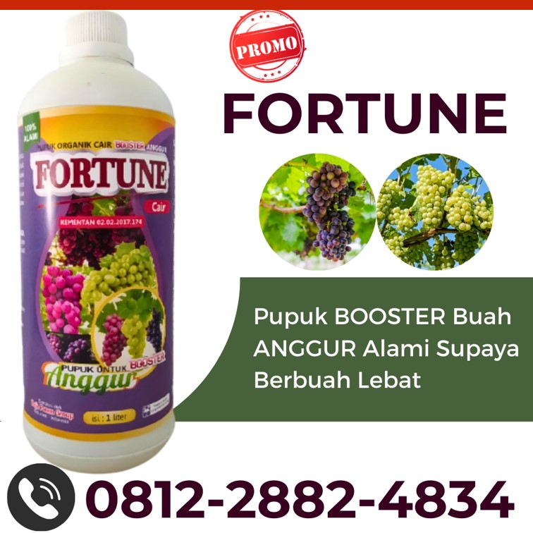 PUSAT Pupuk Anggur Kabupaten Bolaang Mongondow