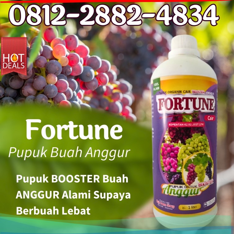 Pupuk Anggur Kabupaten Kepulauan Sangihe