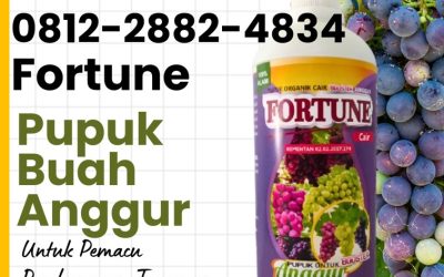 GA MAIN MAIN! CALL 0812-2882-4834, DISTRIBUTOR Pupuk Buah Anggur Kabupaten Kepulauan Talaud