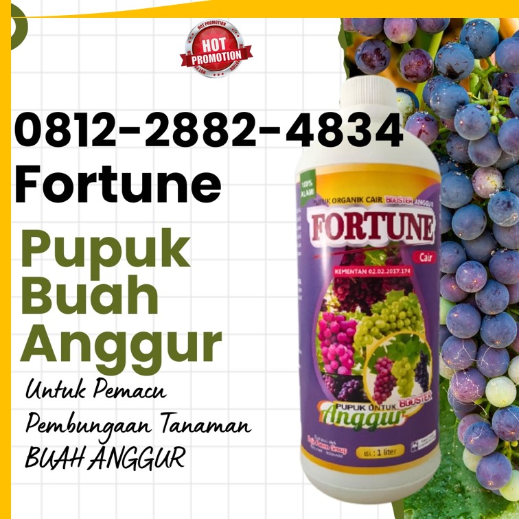 DISTRIBUTOR Pupuk Buah Anggur Kabupaten Kepulauan Talaud