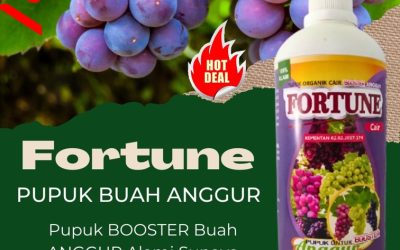 ALAMI CALL 0812-2882-4834, HARGA Pupuk Organik Anggur Kabupaten Bolaang Mongondow Utara