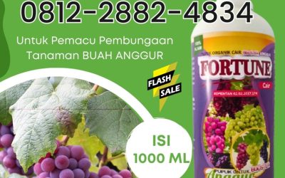 OH JADI INI! CALL 0812-2882-4834, TOKO Pupuk Organik Anggur Kabupaten Minahasa Selatan
