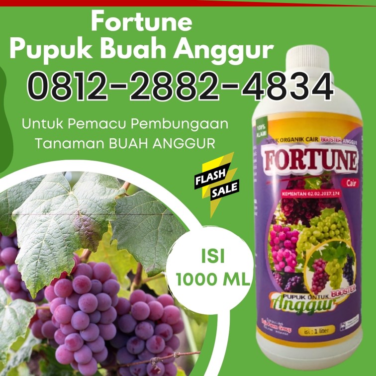 TOKO Pupuk Organik Anggur Kabupaten Minahasa Selatan