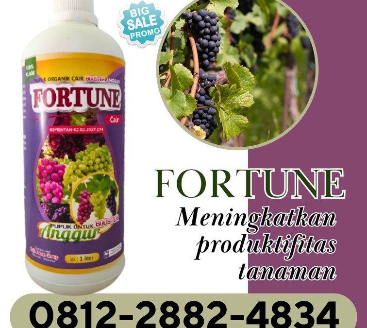 CUMA BULAN INI CALL 0812-2882-4834, GROSIR Pupuk Untuk Anggur Kabupaten Bolaang Mongondow Timur