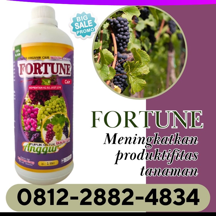 GROSIR Pupuk Untuk Anggur Kabupaten Bolaang Mongondow Timur