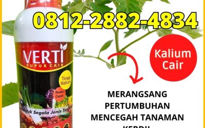 CUMA BULAN INI CALL 0812-2882-4834, SUPPLIER Pupuk Kalium Aceh Tenggara