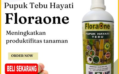 CUMA BULAN INI! CALL 0812-2882-4834, SUPPLIER Pupuk Tanaman Tebu di Kabupaten Kediri