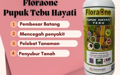 OH JADI INI! CALL 0812-2882-4834, TOKO Pupuk Cair Tebu di Kabupaten Jombang