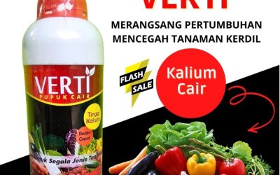 OH JADI INI CALL 0812-2882-4834, TOKO Pupuk Kalium Terbaik Aceh Tengah