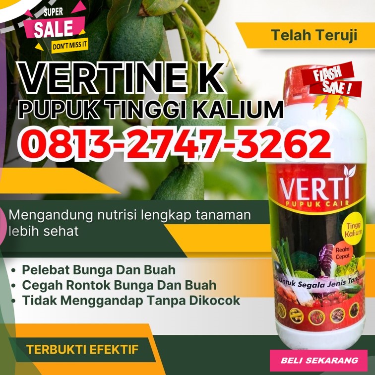 GROSIR Perangsang Buah Kota Lhokseumawe, HARGA Pupuk Perangsang Buah Kota Sabang, Obat Perangsang Buah Kota Subulussalam