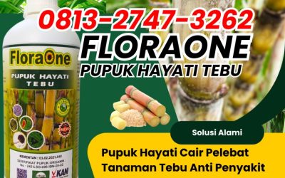 CUMA BULAN INI CALL 0813-2747-3262, GROSIR Pupuk Tebu Kabupaten Ponorogo, Pupuk Tebu Terbaik Kabupaten Probolinggo, Pupuk Cair Tebu Kabupaten Sampang