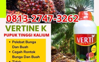 GA MAIN MAIN CALL 0813-2747-3262, GROSIR Pupuk Kalium Cair Klungkung, Pupuk Kalium Cair Terbaik Tabanan, Pupuk Kalium Terbaik Kota Denpasar