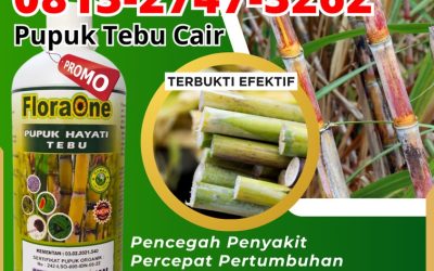 GA MAIN MAIN CALL 0813-2747-3262, GROSIR Pupuk Untuk Tebu Kota Batu, Pupuk Tebu Kota Blitar, Pupuk Tebu Terbaik Kota Kediri