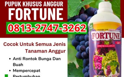 ALAMI CALL 0813-2747-3262, HARGA Pupuk Buah Anggur Dumoga Tenggara, Pupuk Untuk Anggur Dumoga Timur, Pupuk Organik Anggur Dumoga Utara