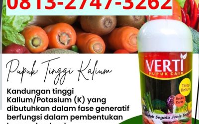 ALAMI CALL 0813-2747-3262, HARGA Pupuk Kalium Cair Kota Sabang, Pupuk Kalium Cair Terbaik Kota Subulussalam, Pupuk Kalium Terbaik Badung