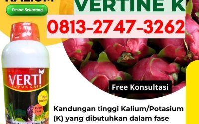 ORGANIK CALL 0813-2747-3262, AGEN Pupuk Kalium Cair Terbaik Kota Subulussalam, Pupuk Kalium Terbaik Badung, Pupuk Kalium Bangli