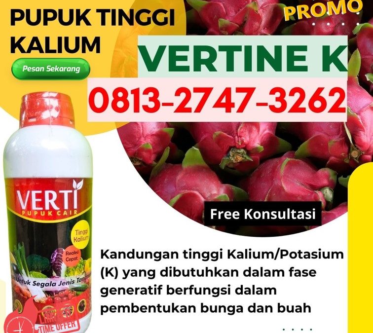 AGEN Obat Perangsang Buah Kota Subulussalam, DISTRIBUTOR Pupuk Perangsang Buah Mangga Badung, Pupuk Perangsang Buah Durian Bangli