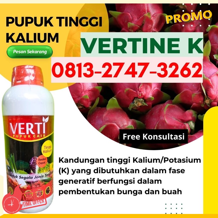 AGEN Obat Perangsang Buah Kota Subulussalam, DISTRIBUTOR Pupuk Perangsang Buah Mangga Badung, Pupuk Perangsang Buah Durian Bangli