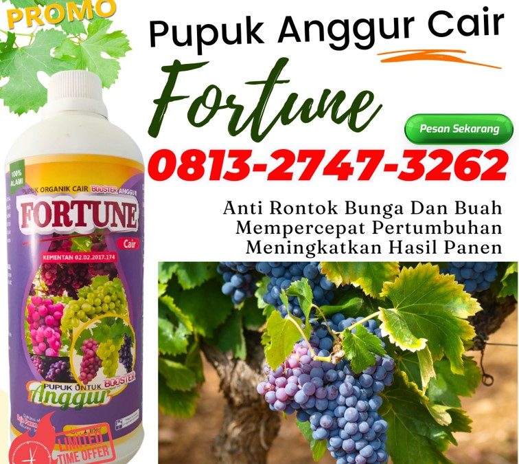 ORGANIK CALL 0813-2747-3262, AGEN Pupuk Untuk Anggur Dumoga Timur, Pupuk Organik Anggur Dumoga Utara, Pupuk Anggur Lolak