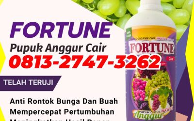 GA MAIN MAIN CALL 0813-2747-3262, DISTRIBUTOR Pupuk Organik Anggur Dumoga Utara, Pupuk Anggur Lolak, Pupuk Buah Anggur Lolayan