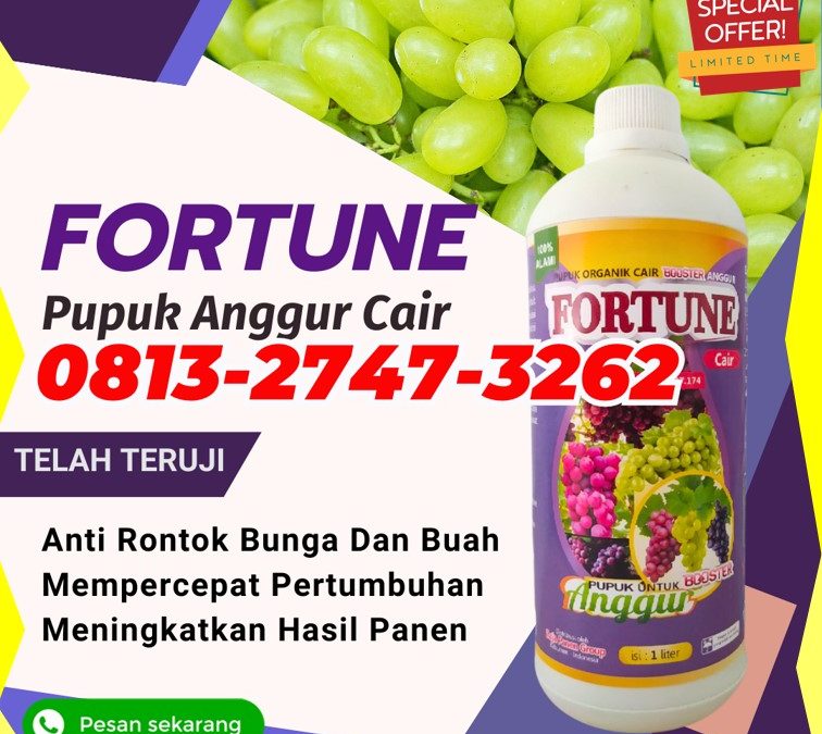 GA MAIN MAIN CALL 0813-2747-3262, DISTRIBUTOR Pupuk Organik Anggur Dumoga Utara, Pupuk Anggur Lolak, Pupuk Buah Anggur Lolayan