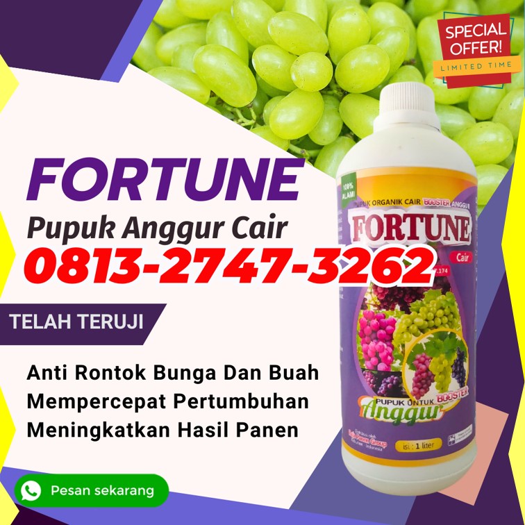 DISTRIBUTOR Pupuk Organik Cair Untuk Anggur Dumoga Utara, AGEN Pupuk Anggur Di Musim Hujan Lolak, Pupuk Daun Anggur Lolayan