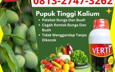 GA MAIN MAIN CALL 0813-2747-3262, DISTRIBUTOR Pupuk Kalium Terbaik Badung, Pupuk Kalium Bangli, Pupuk Kalium Cair Buleleng