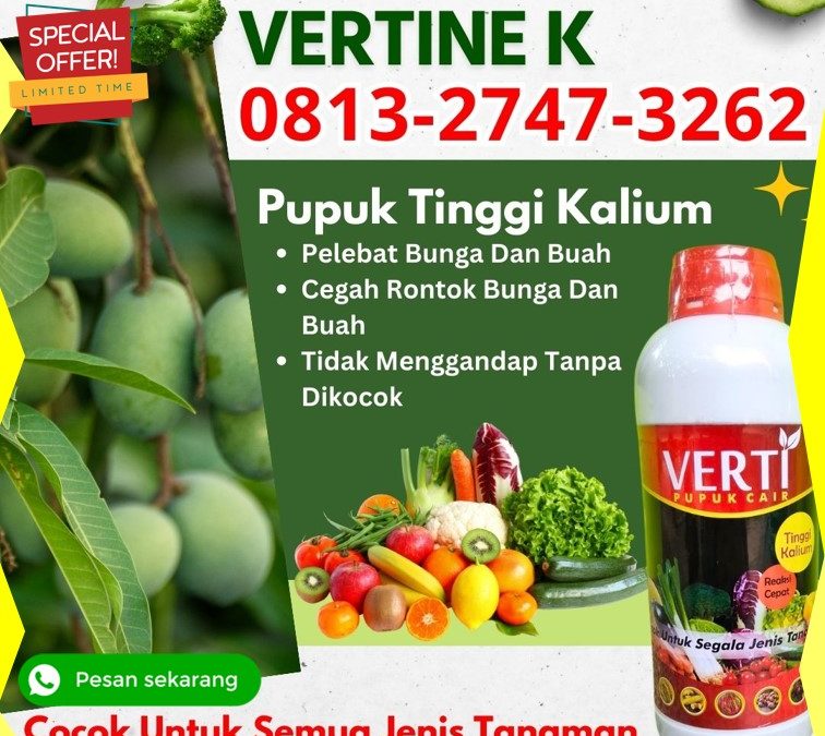 GA MAIN MAIN CALL 0813-2747-3262, DISTRIBUTOR Pupuk Kalium Terbaik Badung, Pupuk Kalium Bangli, Pupuk Kalium Cair Buleleng