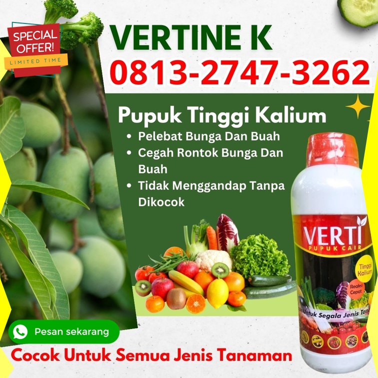 DISTRIBUTOR Pupuk Perangsang Buah Mangga Badung, AGEN Pupuk Perangsang Buah Durian Bangli, Pupuk Perangsang Buah Alpukat Buleleng