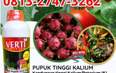 GARA GARA INI CALL 0813-2747-3262, AGEN Pupuk Kalium Bangli, Pupuk Kalium Cair Buleleng, Pupuk Kalium Cair Terbaik Gianyar