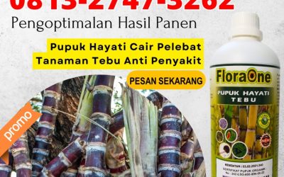 GARA GARA INI CALL 0813-2747-3262, AGEN Pupuk Untuk Tebu Kabupaten Situbondo, Pupuk Tebu Kabupaten Sumenep, Pupuk Tebu Terbaik Kabupaten Trenggalek