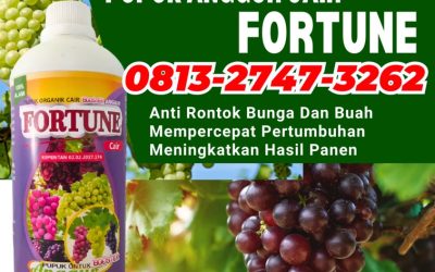 OH JADI INI CALL 0813-2747-3262, TOKO Pupuk Buah Anggur Lolayan, Pupuk Untuk Anggur Passi Barat, Pupuk Organik Anggur Passi Timur