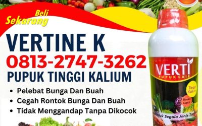 CUMA BULAN INI CALL 0813-2747-3262, SUPPLIER Pupuk Kalium Cair Terbaik Gianyar, Pupuk Kalium Terbaik Jembrana, Pupuk Kalium Karang Asem
