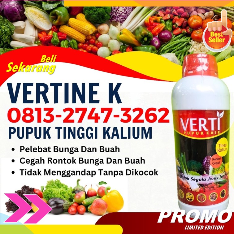 SUPPLIER Obat Perangsang Buah Durian Gianyar, PUSAT Pupuk Perangsang Buah Durian Terbaik Jembrana, Pupuk Perangsang Buah Anggur Karang Asem