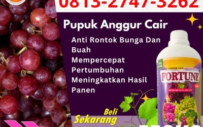 CUMA BULAN INI CALL 0813-2747-3262, SUPPLIER Pupuk Untuk Anggur Passi Barat, Pupuk Organik Anggur Passi Timur, Pupuk Anggur Poigar