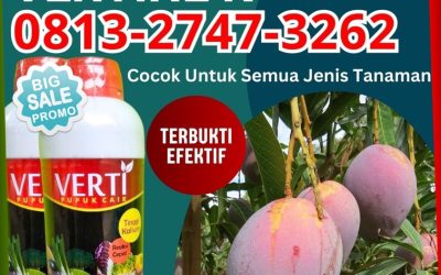 CUMA BULAN INI CALL 0813-2747-3262, GROSIR Pupuk Kalium Kota Lhokseumawe, Pupuk Kalium Cair Kota Sabang, Pupuk Kalium Cair Terbaik Kota Subulussalam